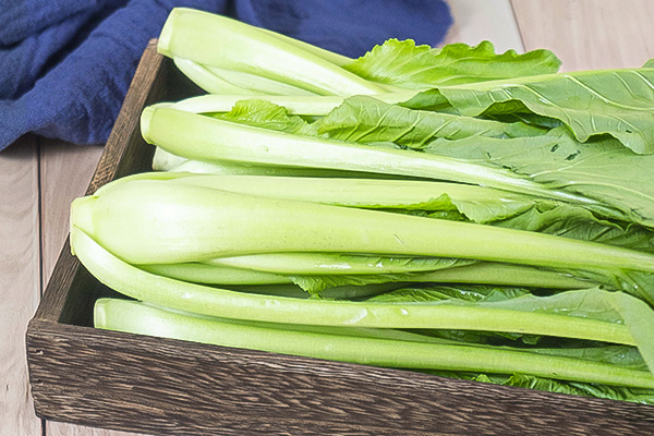 有(yǒu)機(jī)青秀油菜4