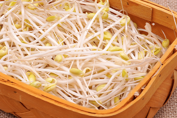 有(yǒu)機(jī)黃(huáng)豆芽5