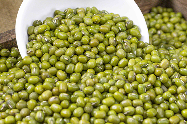 有(yǒu)機(jī)綠(lǜ)豆3