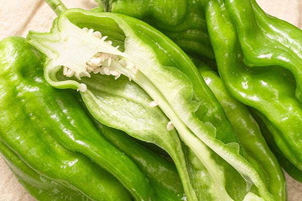 有(yǒu)機(jī)青椒4