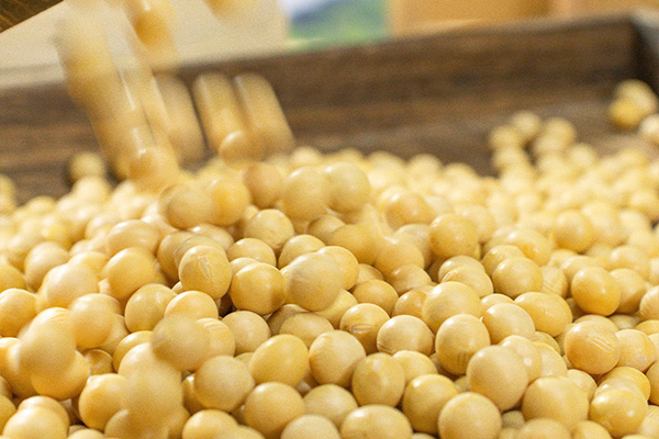 有(yǒu)機(jī)黃(huáng)豆5