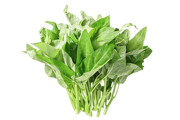 有(yǒu)機(jī)空(kōng)心菜白(bái)底