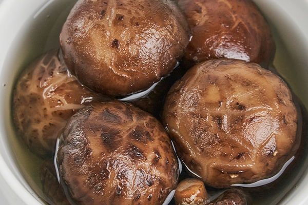 有(yǒu)機(jī)香菇31