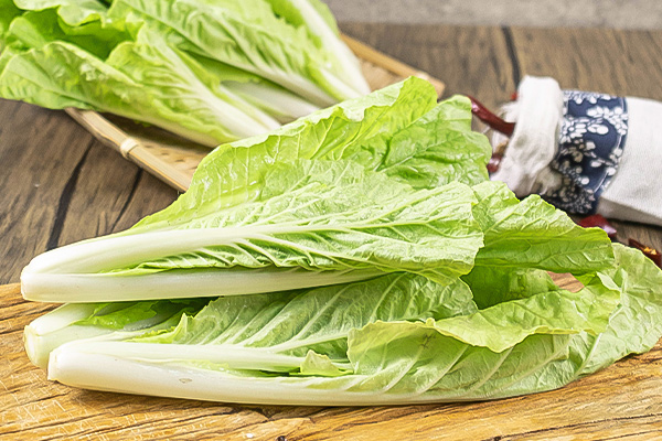 有(yǒu)機(jī)杭白(bái)菜1