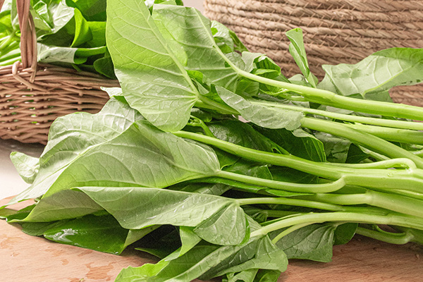 有(yǒu)機(jī)空(kōng)心菜2