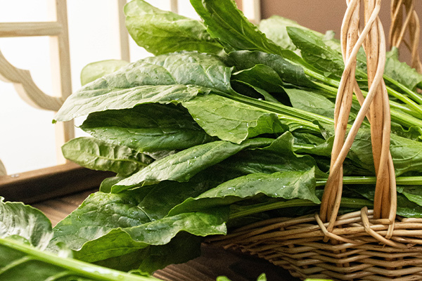 有(yǒu)機(jī)菠菜2