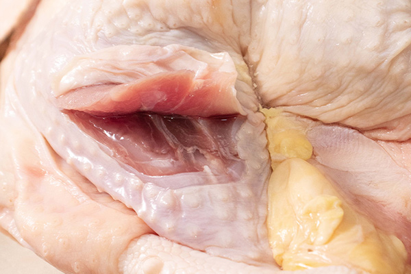 有(yǒu)機(jī)跑山(shān)雞3