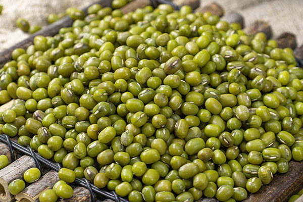 有(yǒu)機(jī)綠(lǜ)豆4