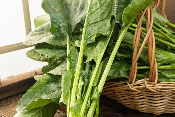 有(yǒu)機(jī)菠菜1