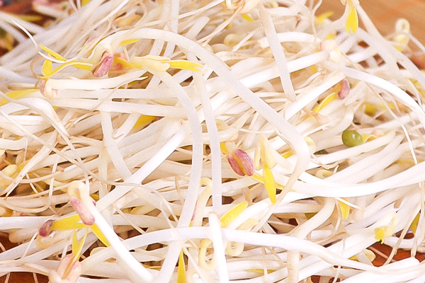 有(yǒu)機(jī)綠(lǜ)豆芽4