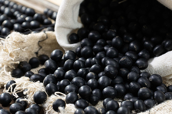 有(yǒu)機(jī)黑(hēi)豆6