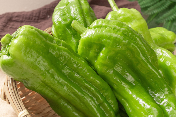 有(yǒu)機(jī)青椒