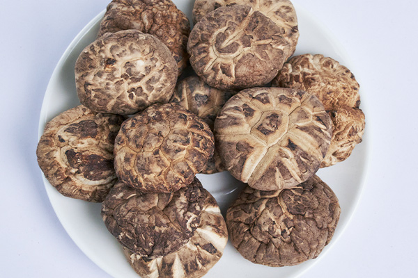 有(yǒu)機(jī)香菇41