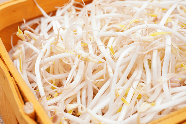 有(yǒu)機(jī)綠(lǜ)豆芽2