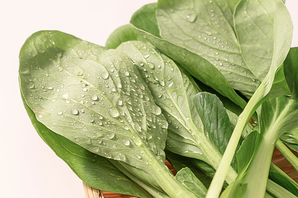 有(yǒu)機(jī)雞毛菜5