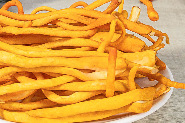 有(yǒu)機(jī)蟲草(cǎo)花(huā)5