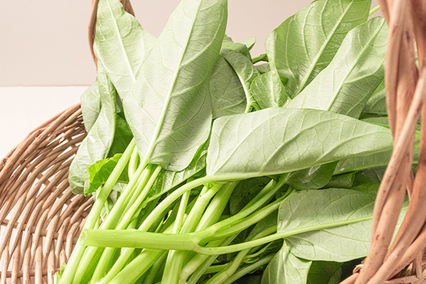 有(yǒu)機(jī)空(kōng)心菜4