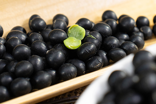 有(yǒu)機(jī)黑(hēi)豆5