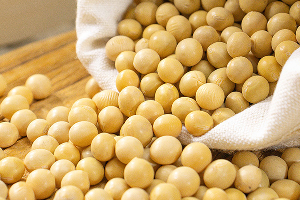 有(yǒu)機(jī)黃(huáng)豆3