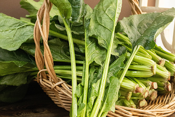 有(yǒu)機(jī)菠菜5