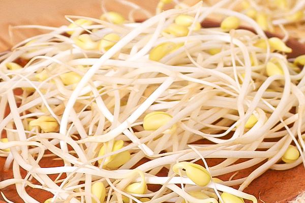 有(yǒu)機(jī)黃(huáng)豆芽2
