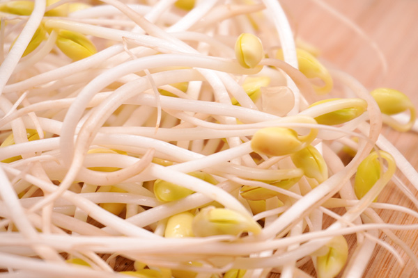 有(yǒu)機(jī)黃(huáng)豆芽4