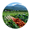 website website