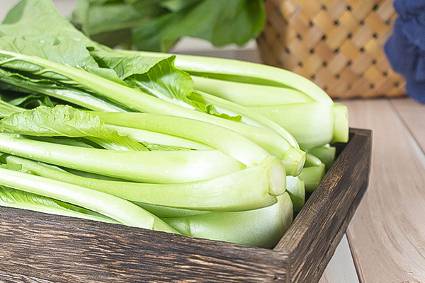 有(yǒu)機(jī)青秀油菜2