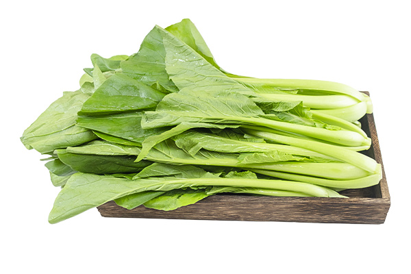 有(yǒu)機(jī)青秀油菜白(bái)底