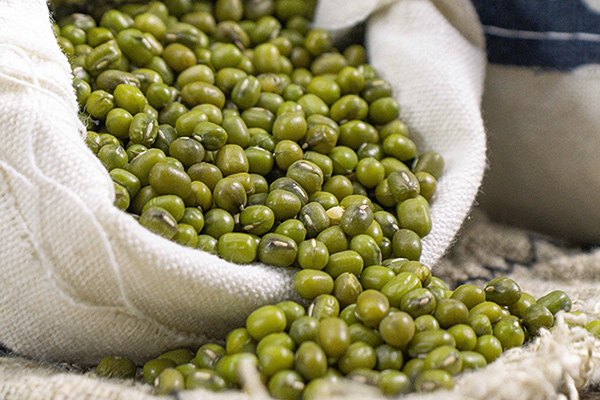 有(yǒu)機(jī)綠(lǜ)豆2
