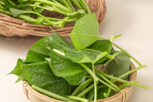 有(yǒu)機(jī)地(dì)瓜葉4